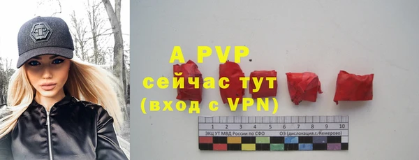 хмурый Невельск