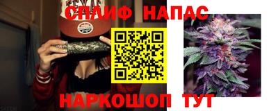соль ск Ипатово
