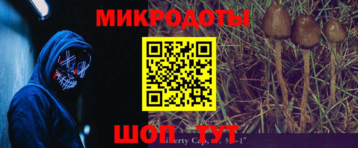 Саянск  Псилоцибиновые грибы Psilocybe  Вход с VPN  Галлюциногенные грибы мухоморы 